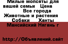 Милые мопсяты для вашей семьи › Цена ­ 20 000 - Все города Животные и растения » Собаки   . Ханты-Мансийский,Нягань г.